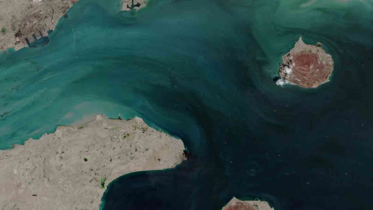 সংগৃহীত