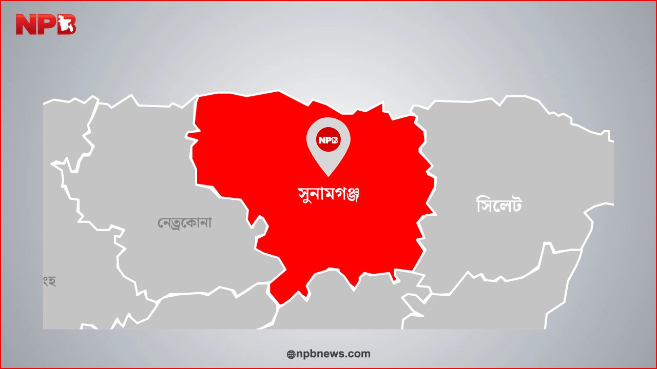 এনপিবি গ্রাফিক্স