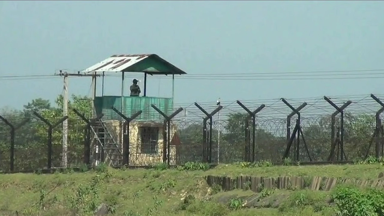 ছবি সংগৃহীত