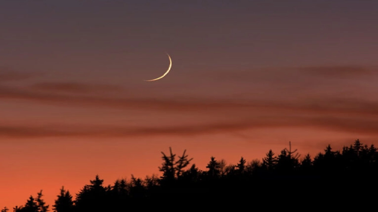 ছবি সংগৃহীত