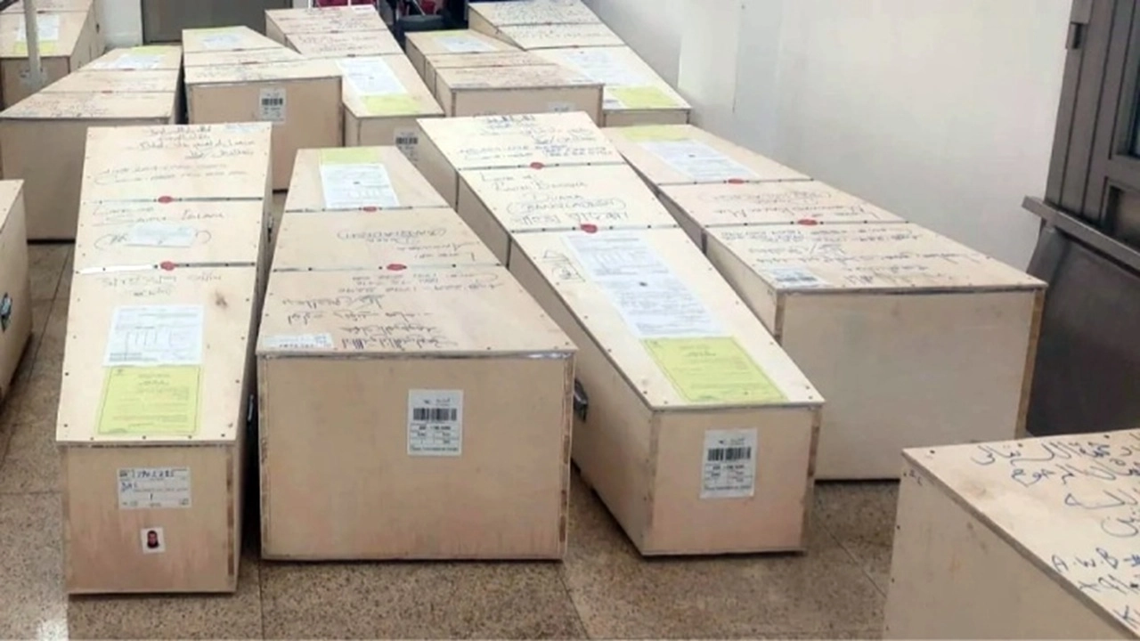 ছবি সংগৃহীত