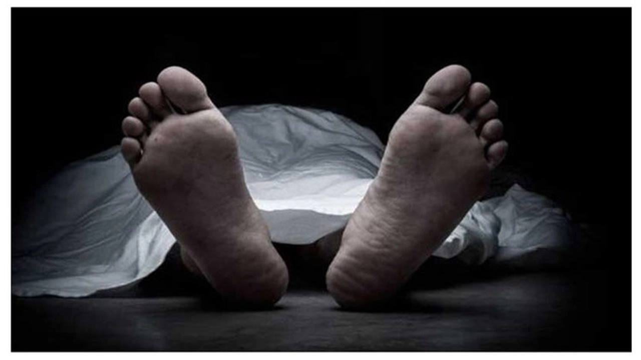 ছবি সংগৃহীত