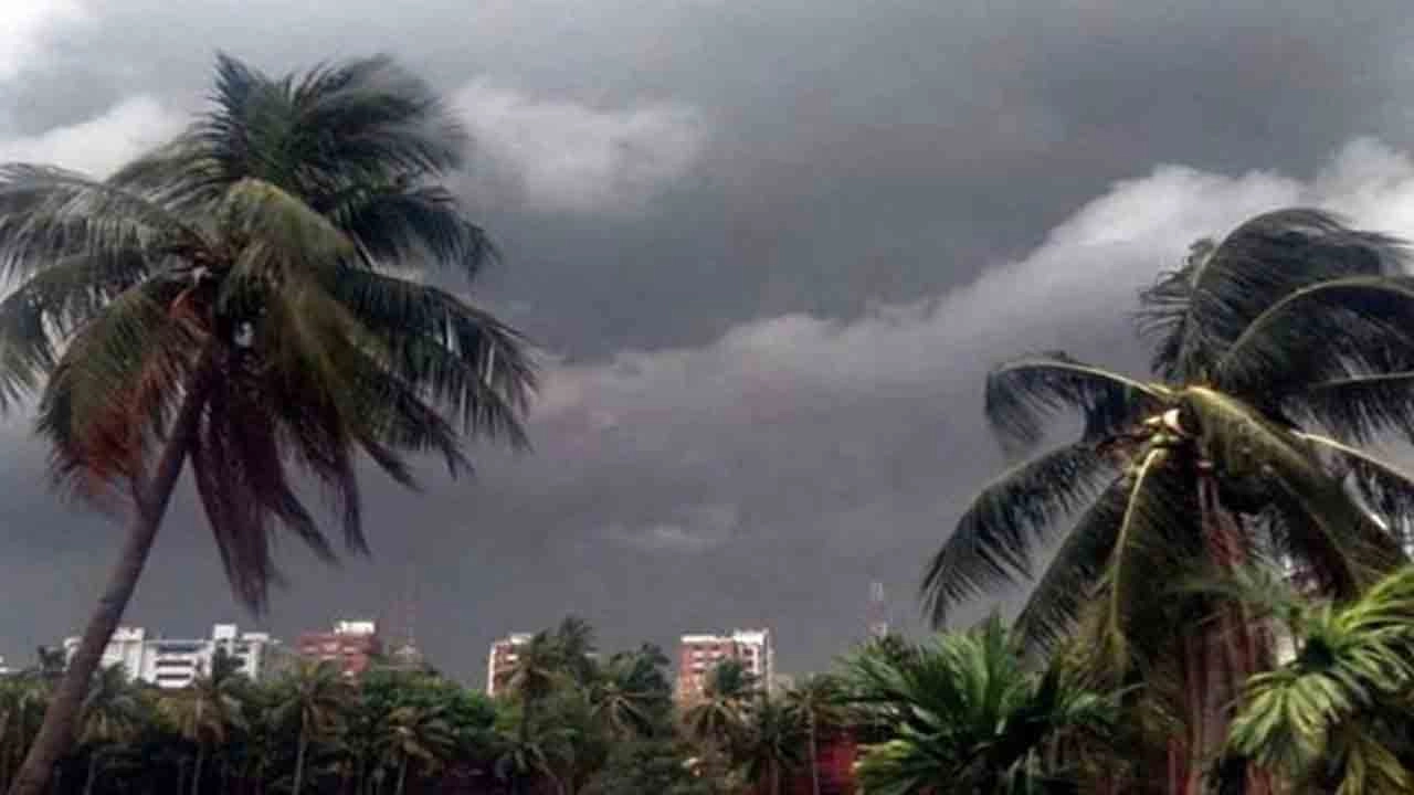 সংগৃহীত