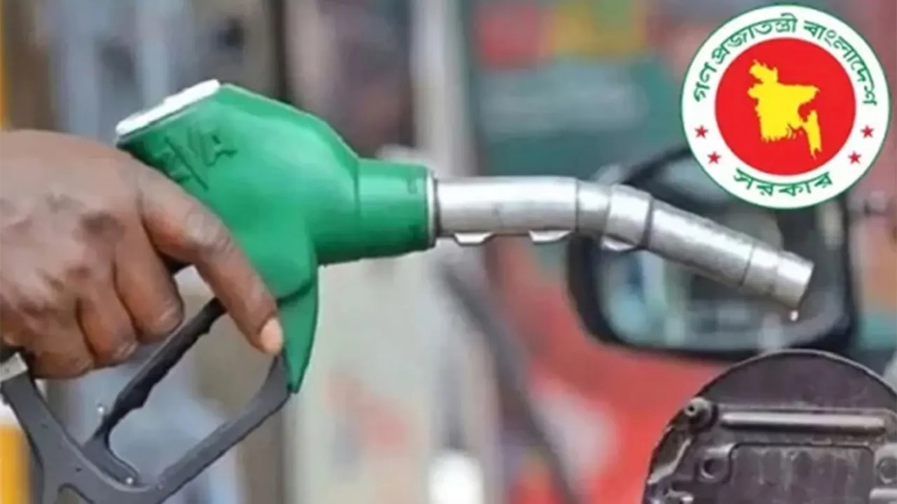 ফাইল ছবি