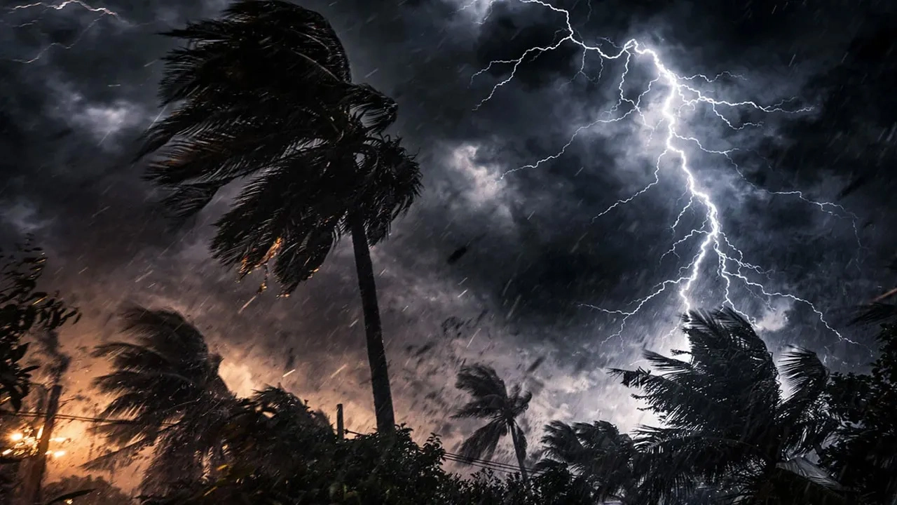 ছবি সংগৃহীত