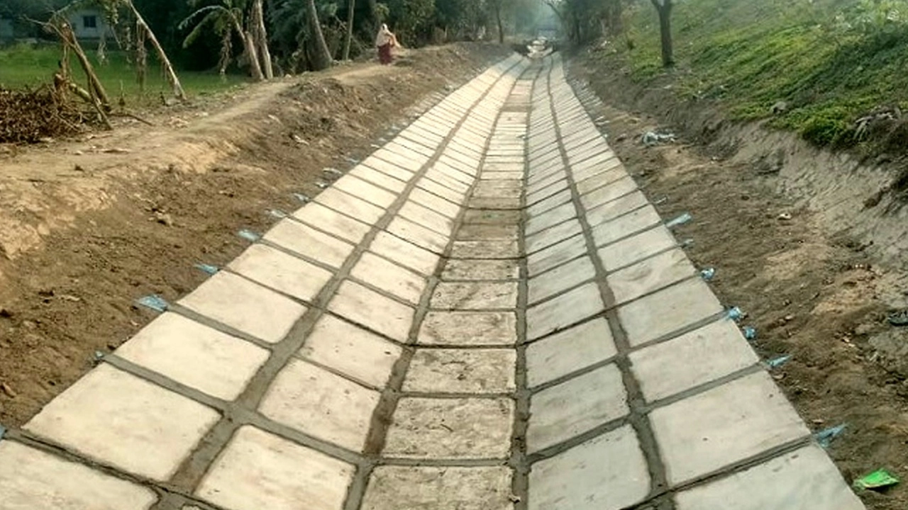 ছবি সংগৃহীত