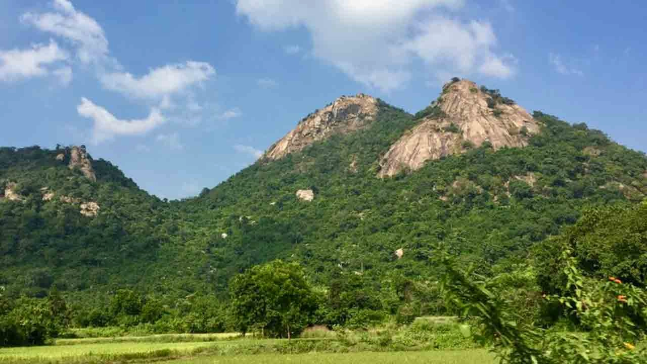 পাহাড়ে মিলল তিন যুবকের গলা কাটা মরদেহ