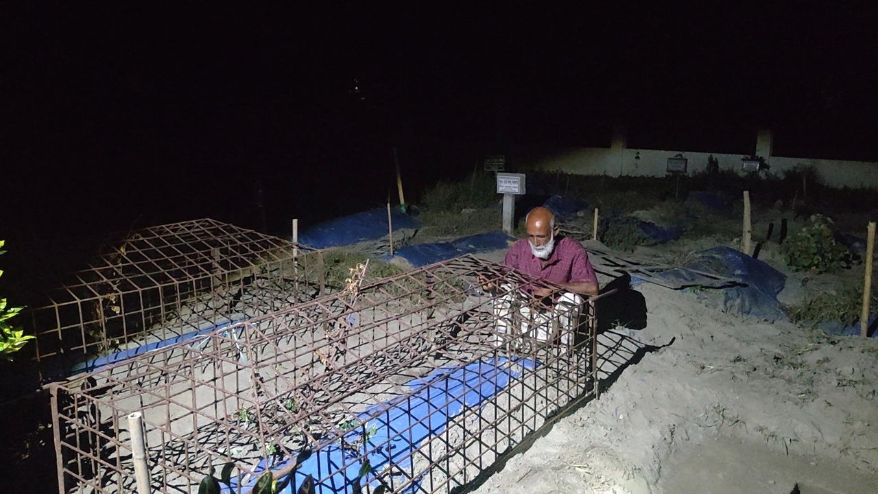 ছবি সংগৃহীত