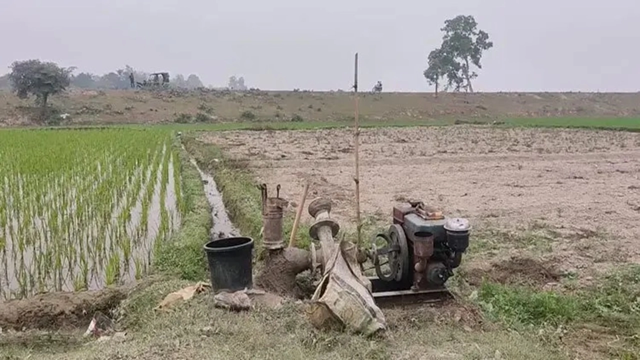 ছবি সংগৃহীত