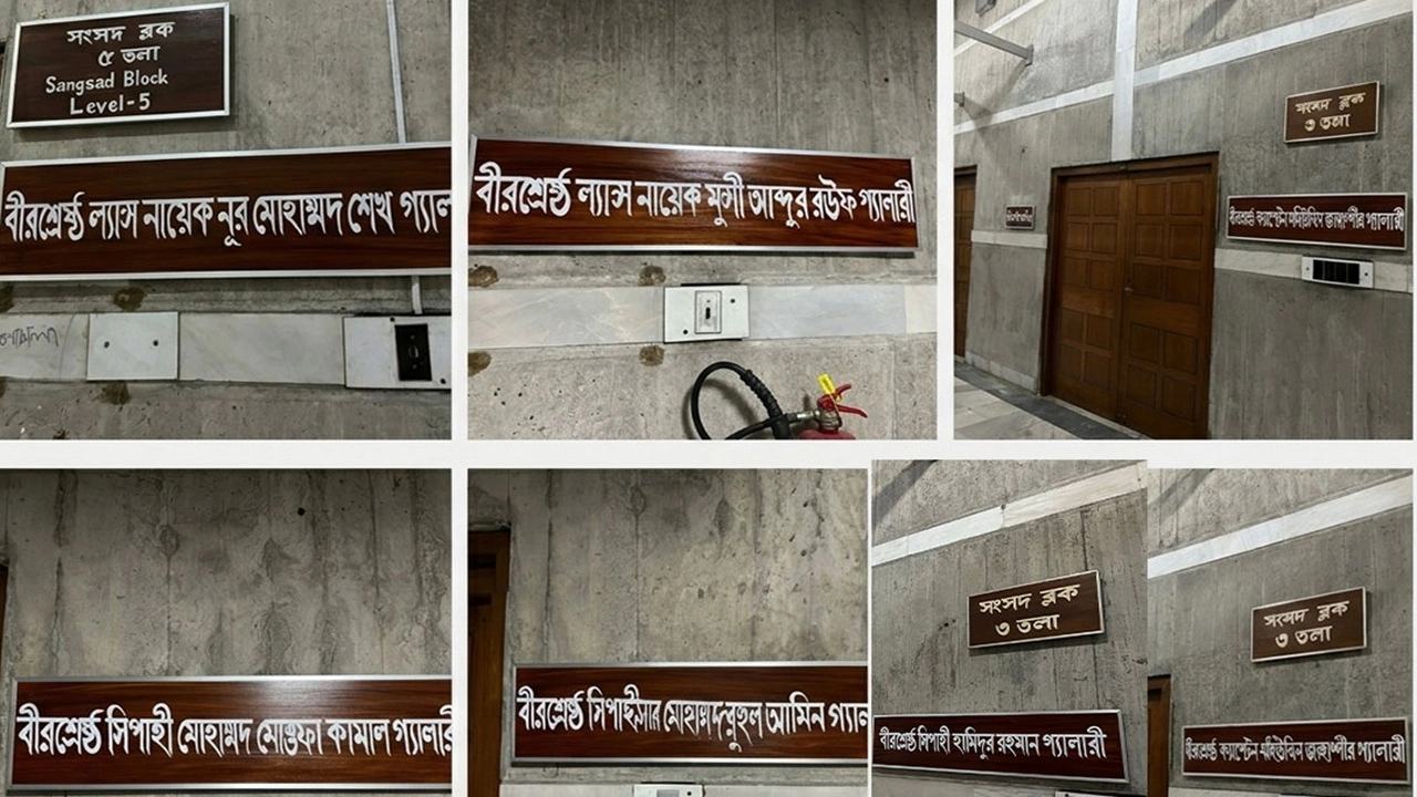 ছবি সংগৃহীত