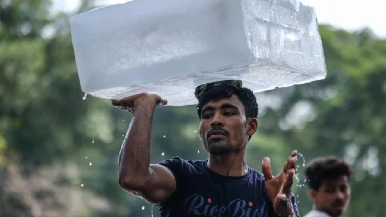 ছবি সংগৃহীত