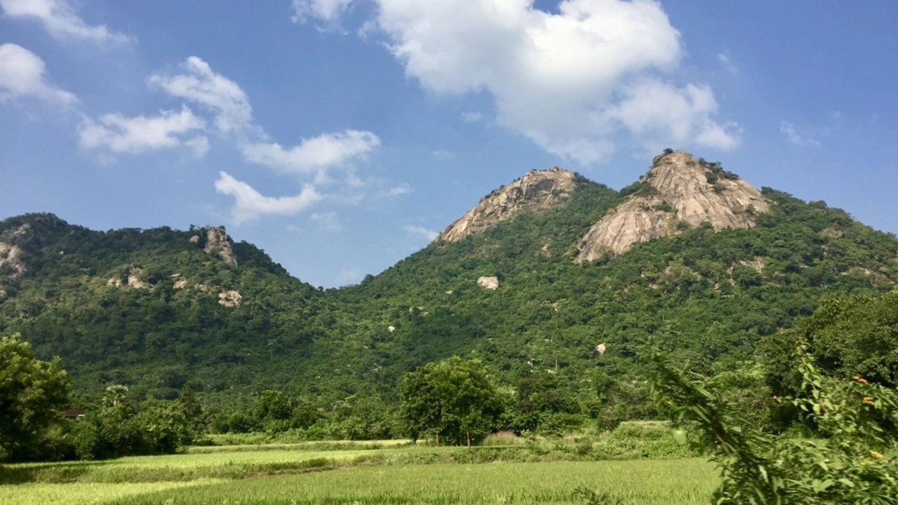 কক্সবাজারের টেকনাফের পাহাড়