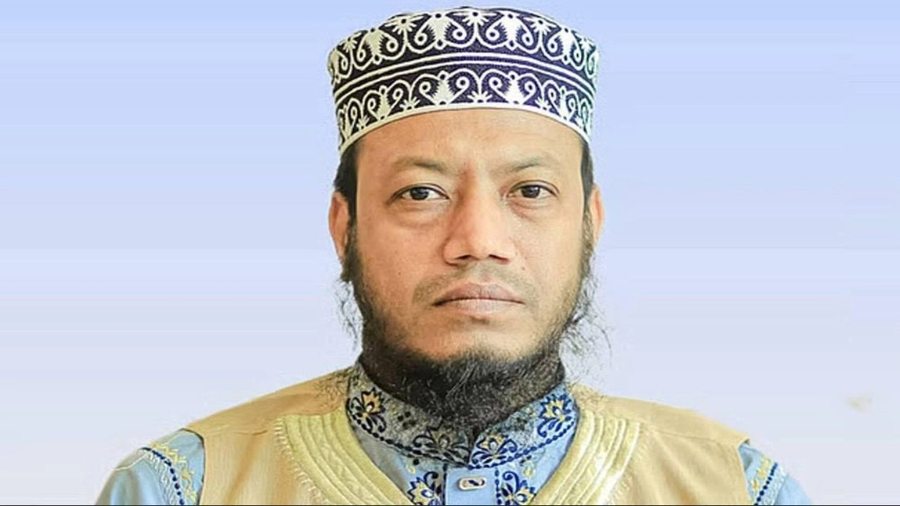 আমির হামজা