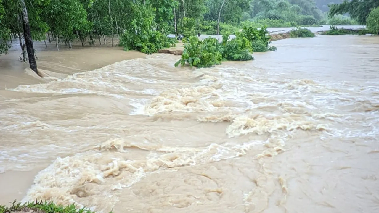 ফাইল ছবি