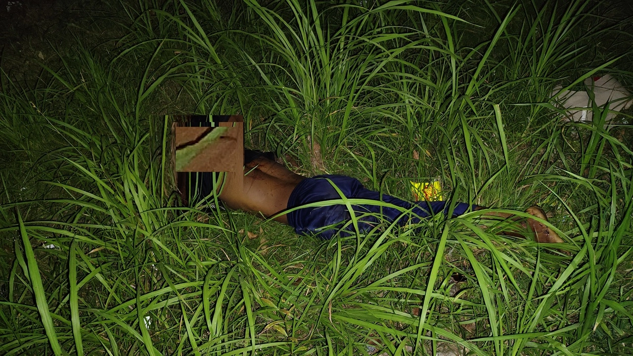 ছবি সংগৃহীত