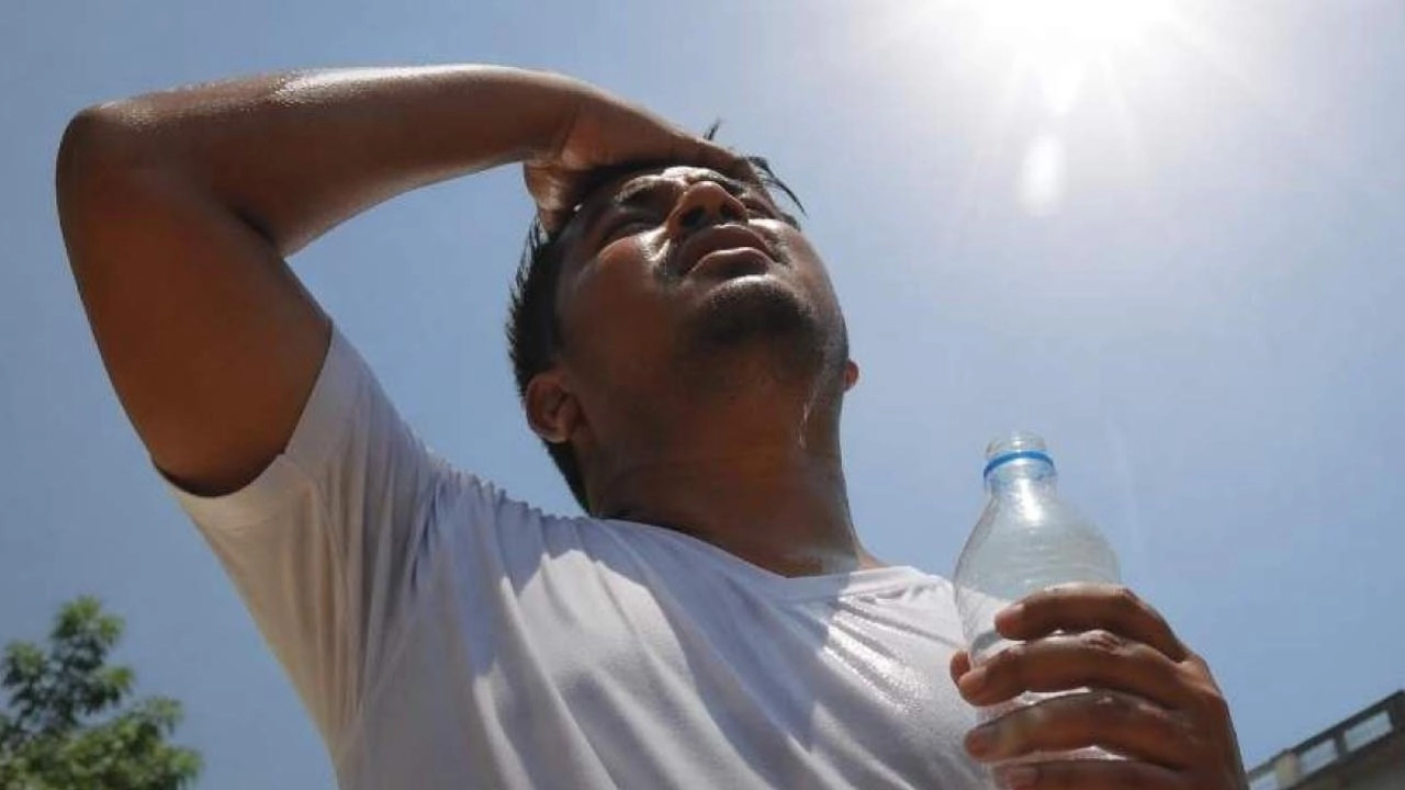 ফাইল ছবি