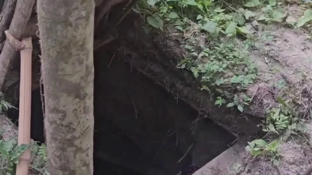 ছবি সংগৃহীত