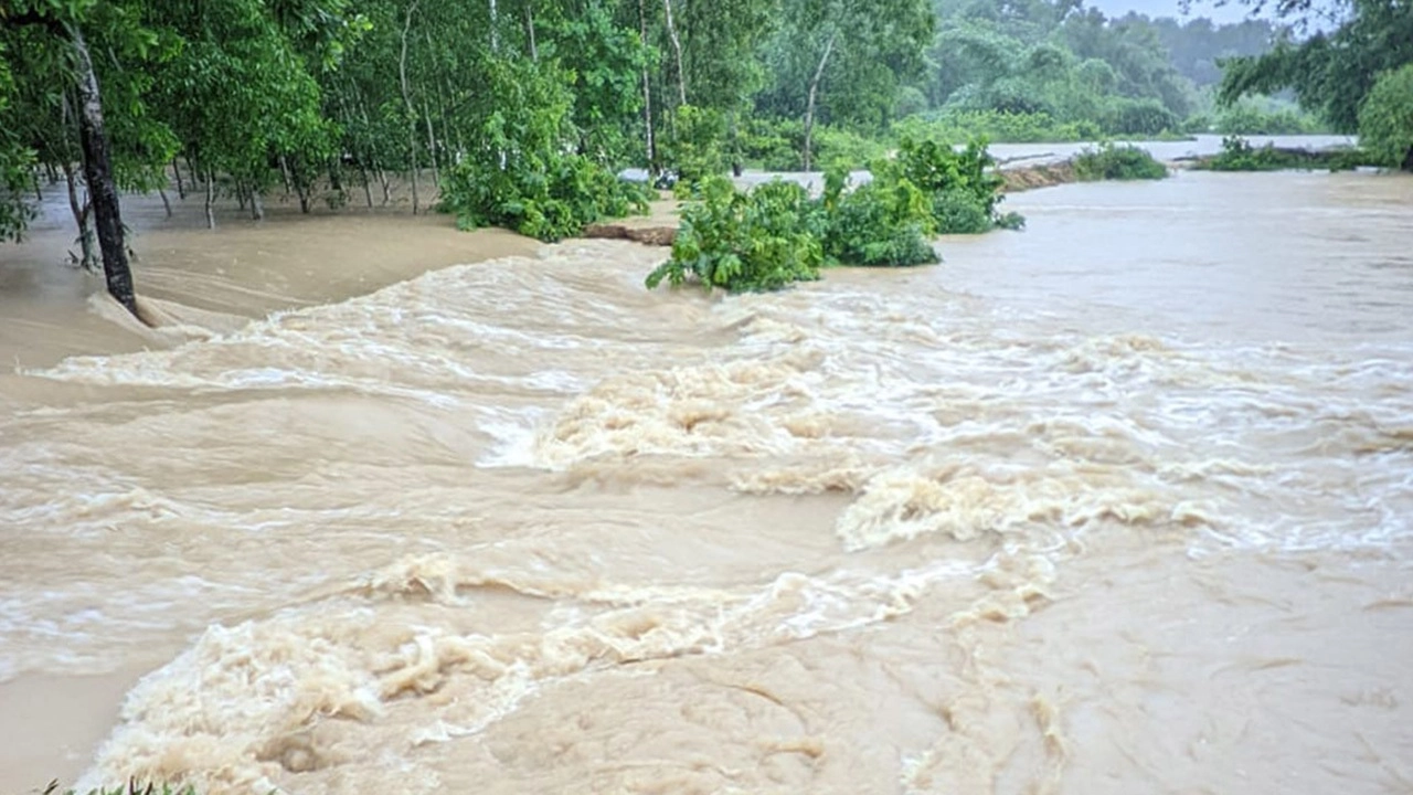 ছবি সংগৃহীত