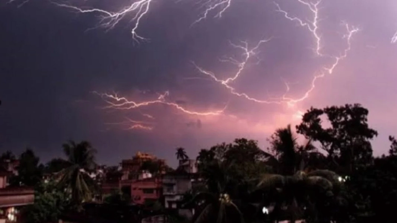 ছবি সংগৃহীত