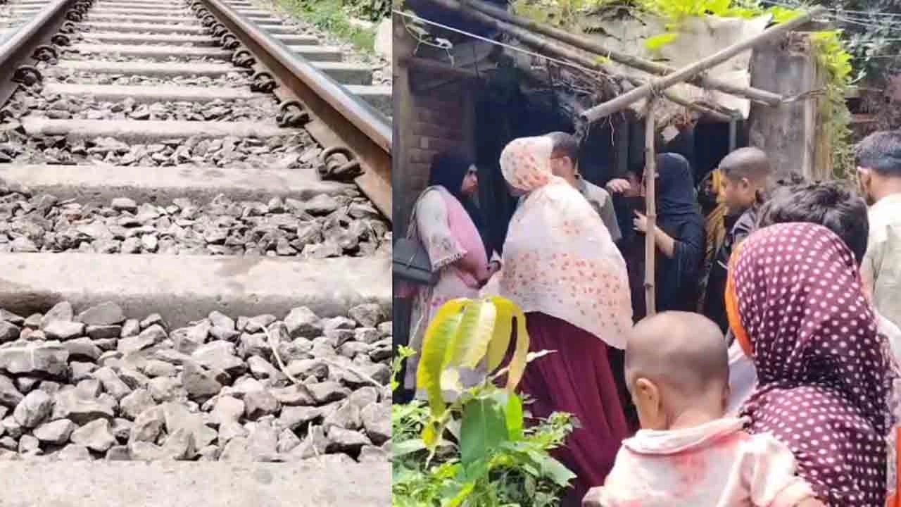 সংগৃহীত