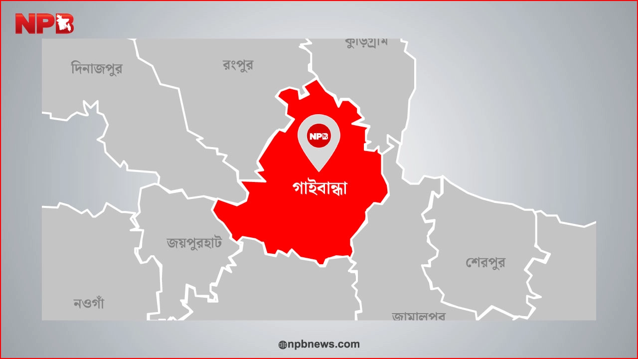 এনপিবি গ্রাফিক্স