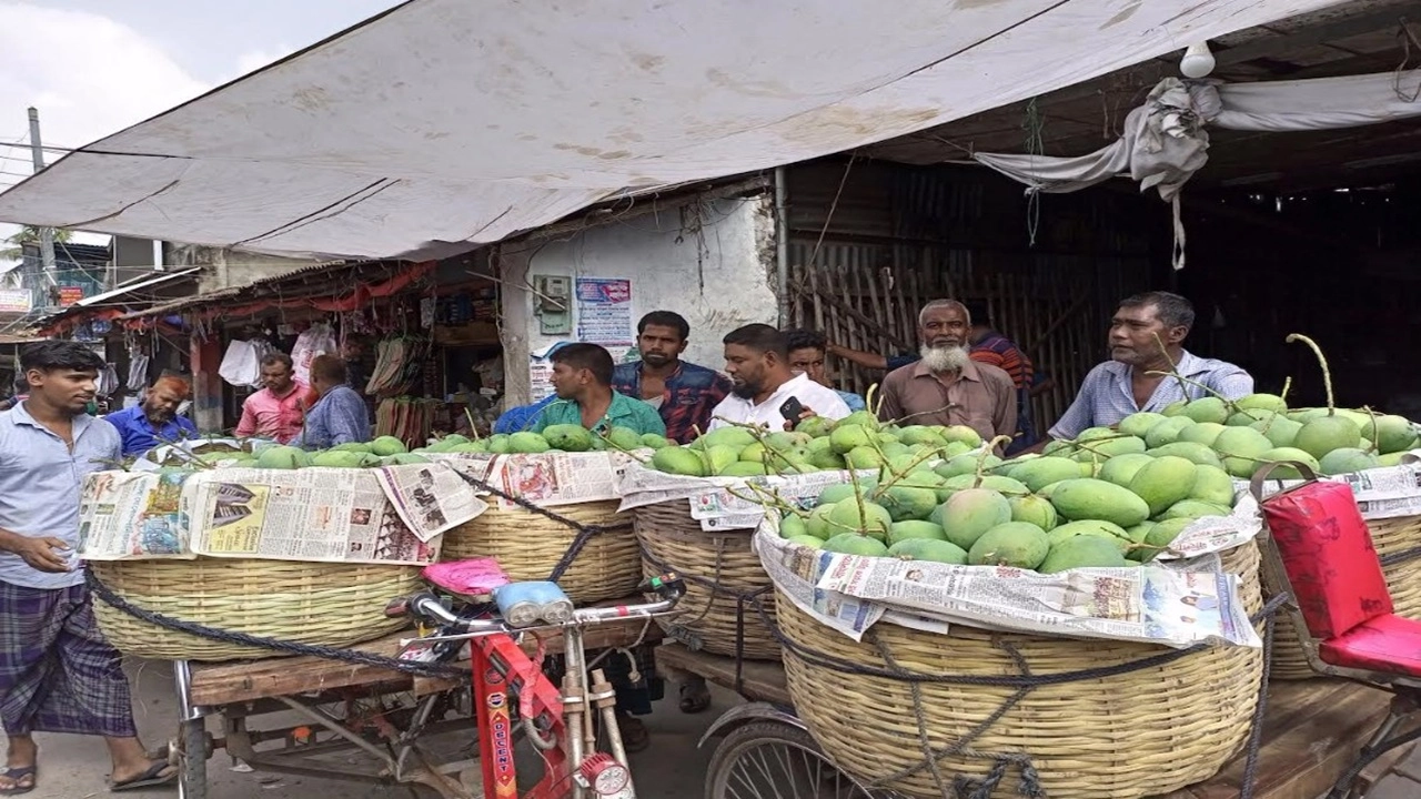 দেশে আমের মৌসুমের সূচনা যেন হয় সাতক্ষীরার হাত ধরেই।