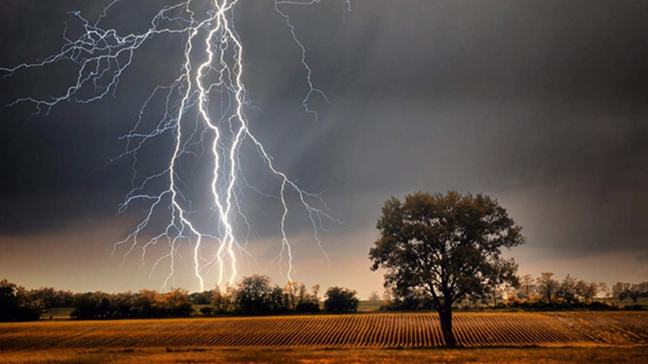 ছবি সংগৃহীত