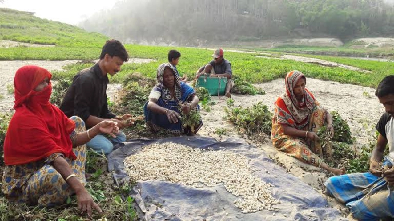 ছবি সংগৃহীত