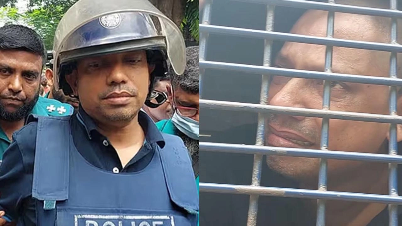 জুনাইদ আহমেদ পলক