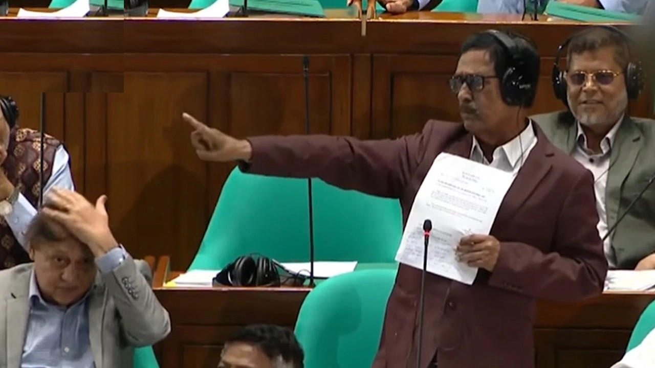 ছবি সংগৃহীত