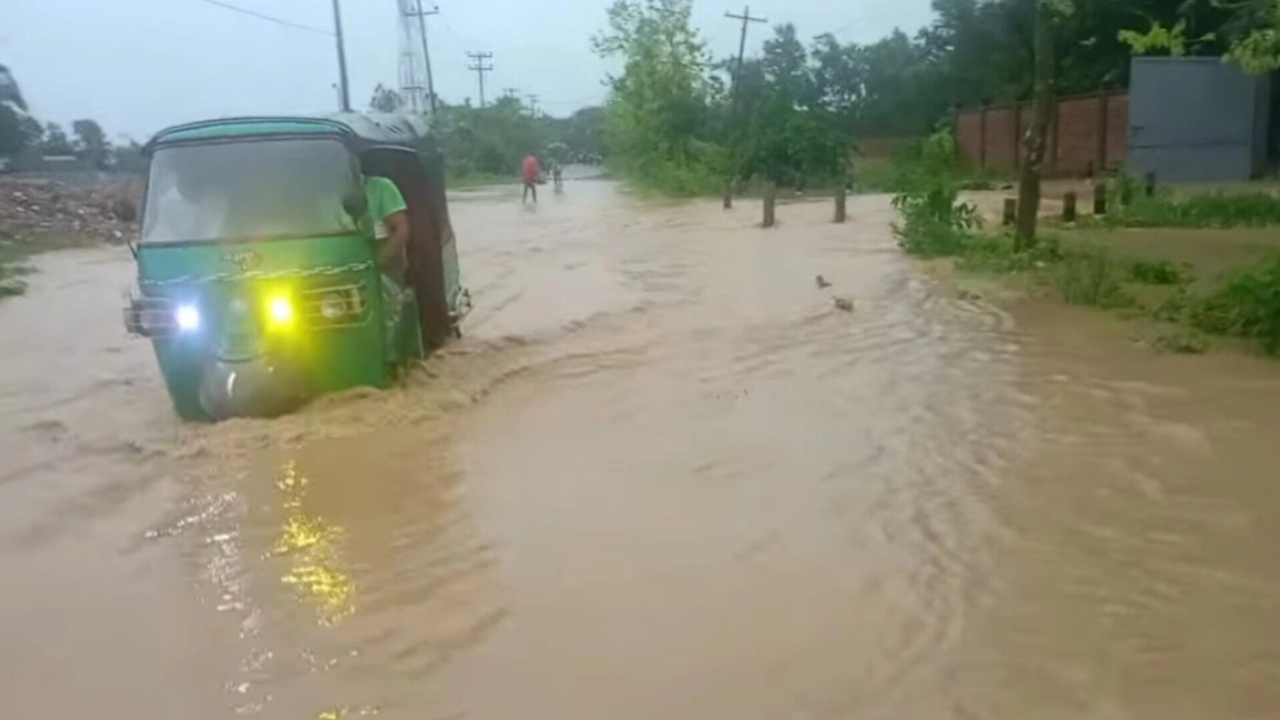 ছবি সংগৃহীত