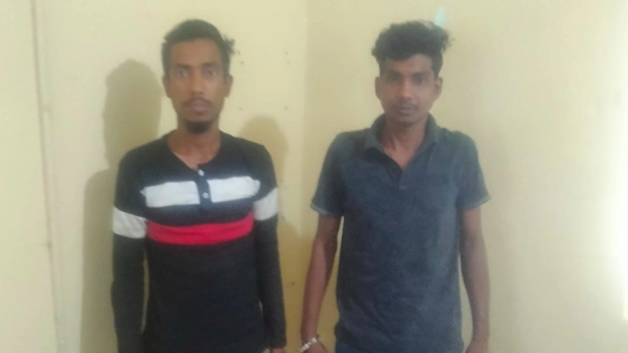 ছবি সংগৃহীত