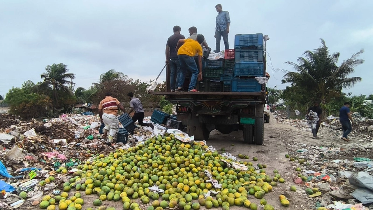 সাতক্ষীরায় ৯ হাজার কেজি অপরিপক্ব আম ধ্বংস