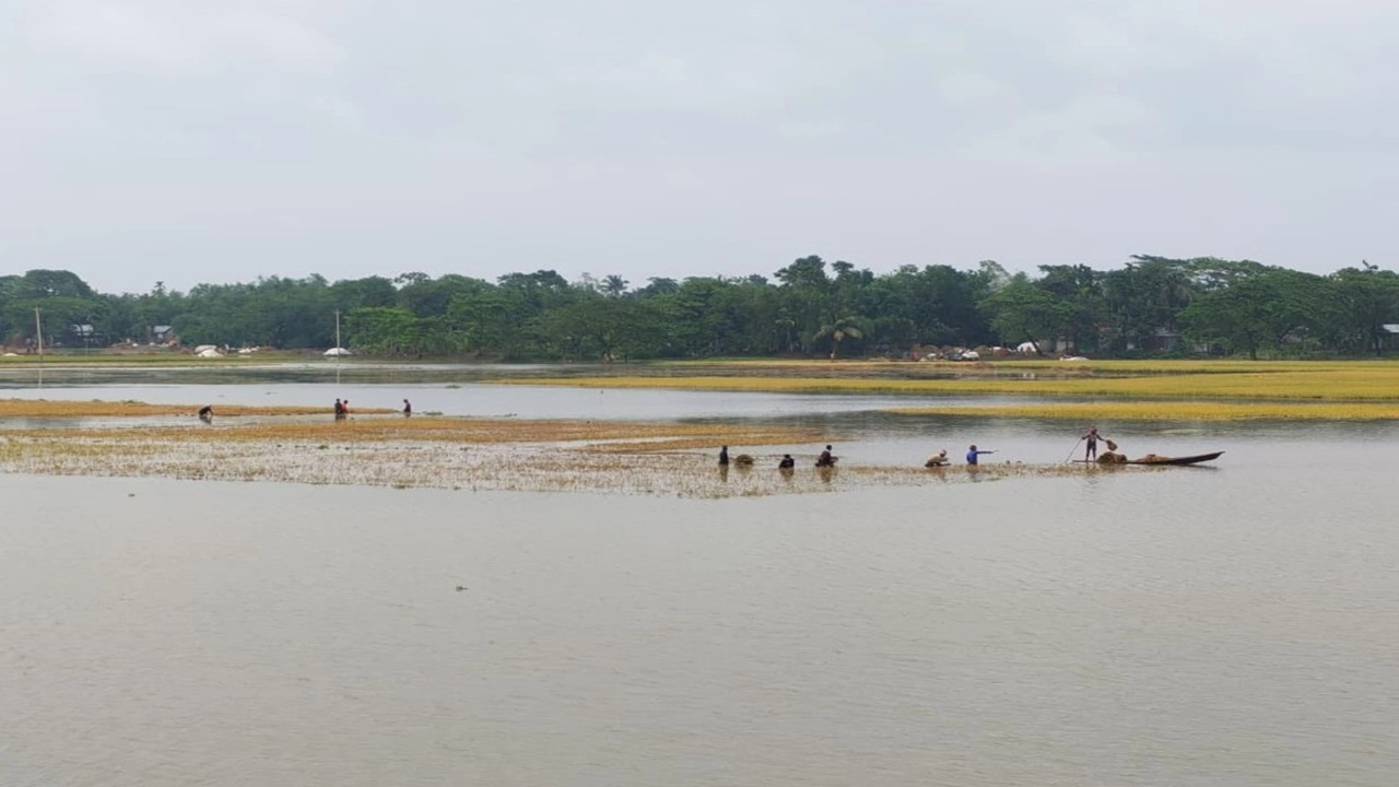 নেত্রকোনায় বাড়ছে নদ-নদীর পানি