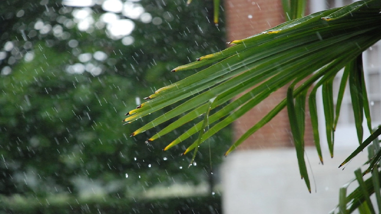 ছবি সংগৃহীত