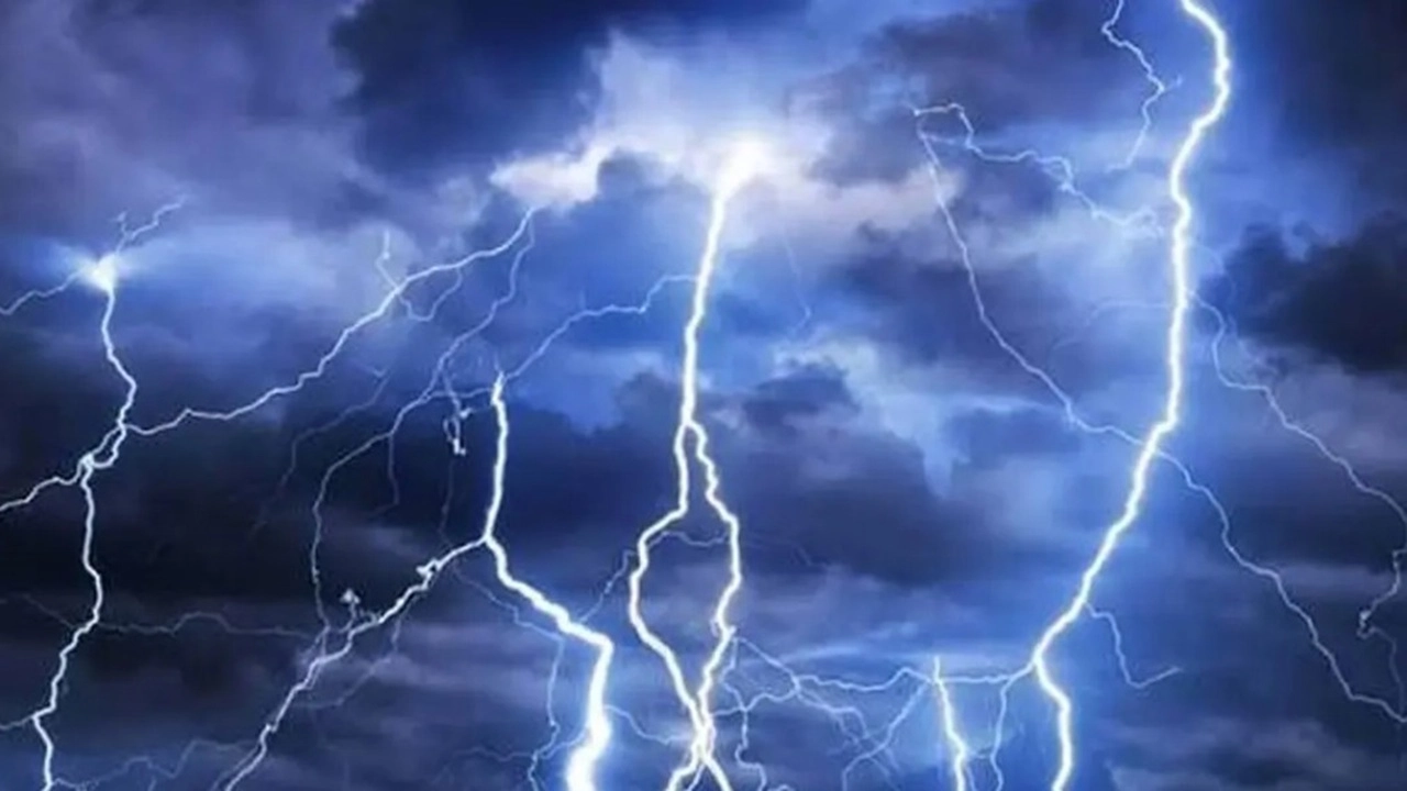 ছবি সংগৃহীত