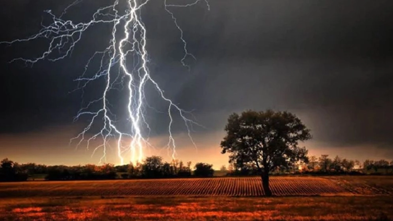 ছবি সংগৃহীত