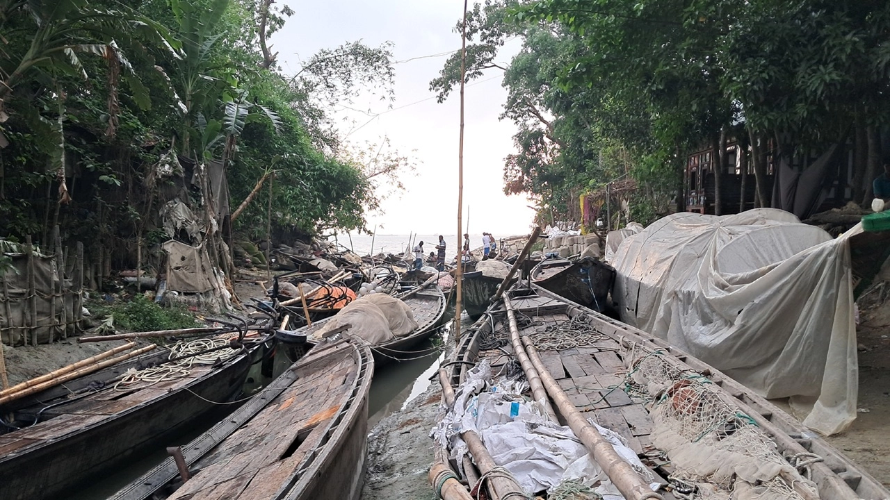 ছবি: এনপিবি নিউজ