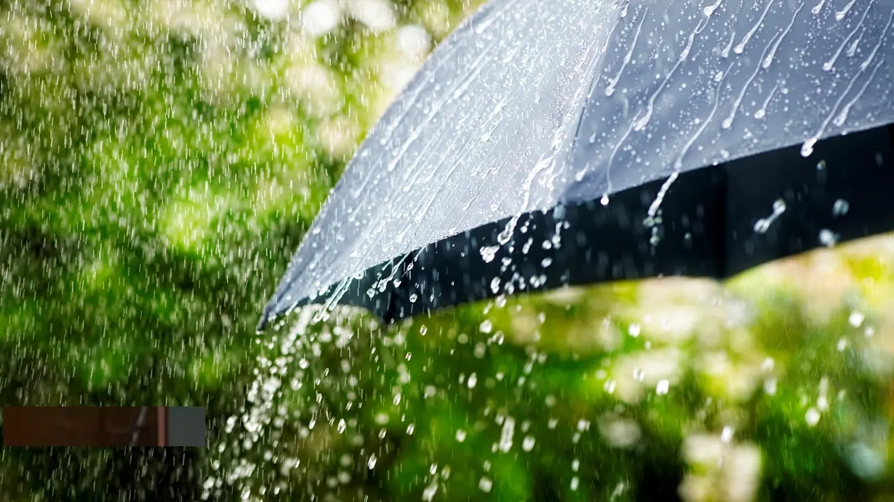 প্রতীকী ছবি