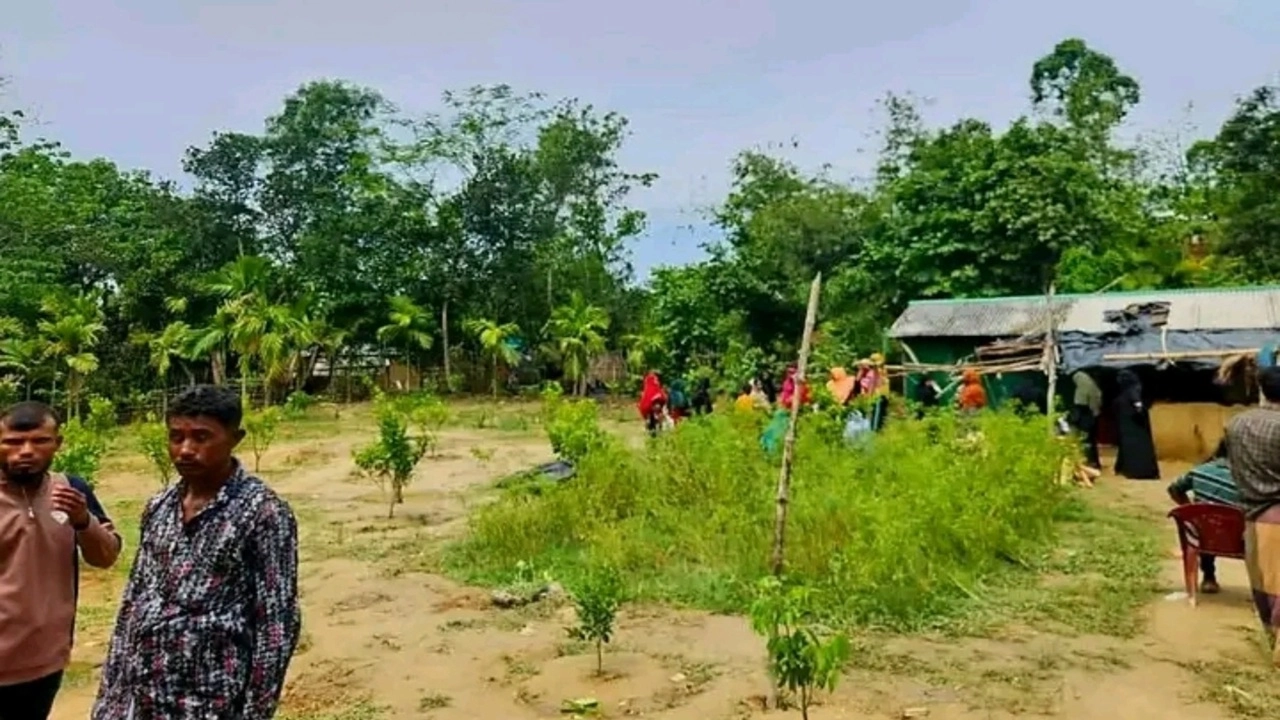 ছবি সংগৃহীত