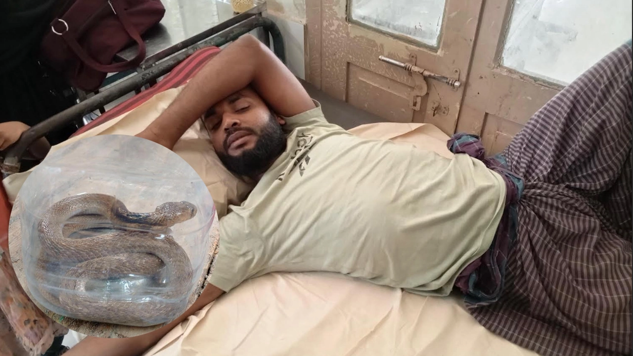 জীবিত সাপ নিয়েই হাসপাতালে যুবক