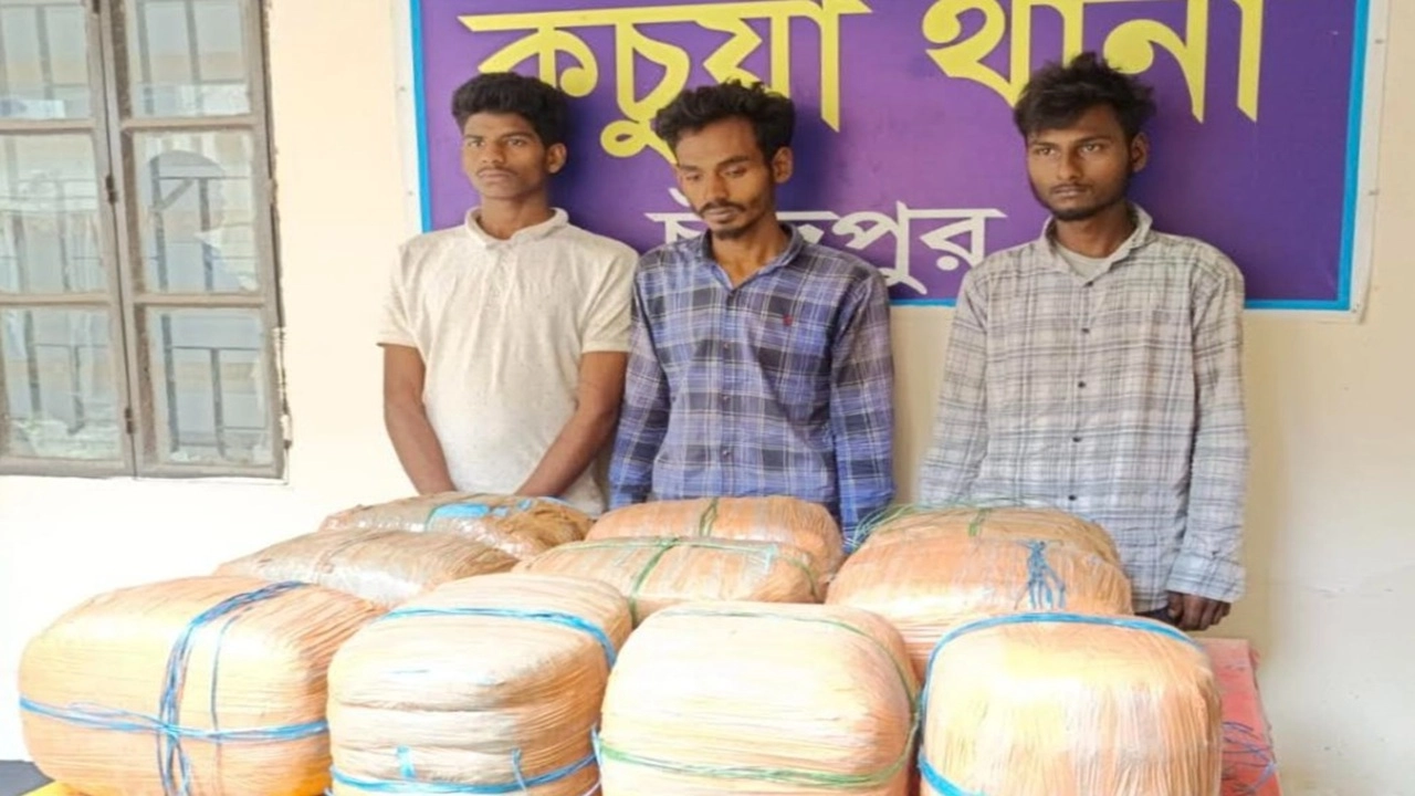 চাঁদপুরে র‍্যাবের অভিযানে কাভার্ড ভ্যানে মিলল গাঁজা, গ্রেপ্তার ৩