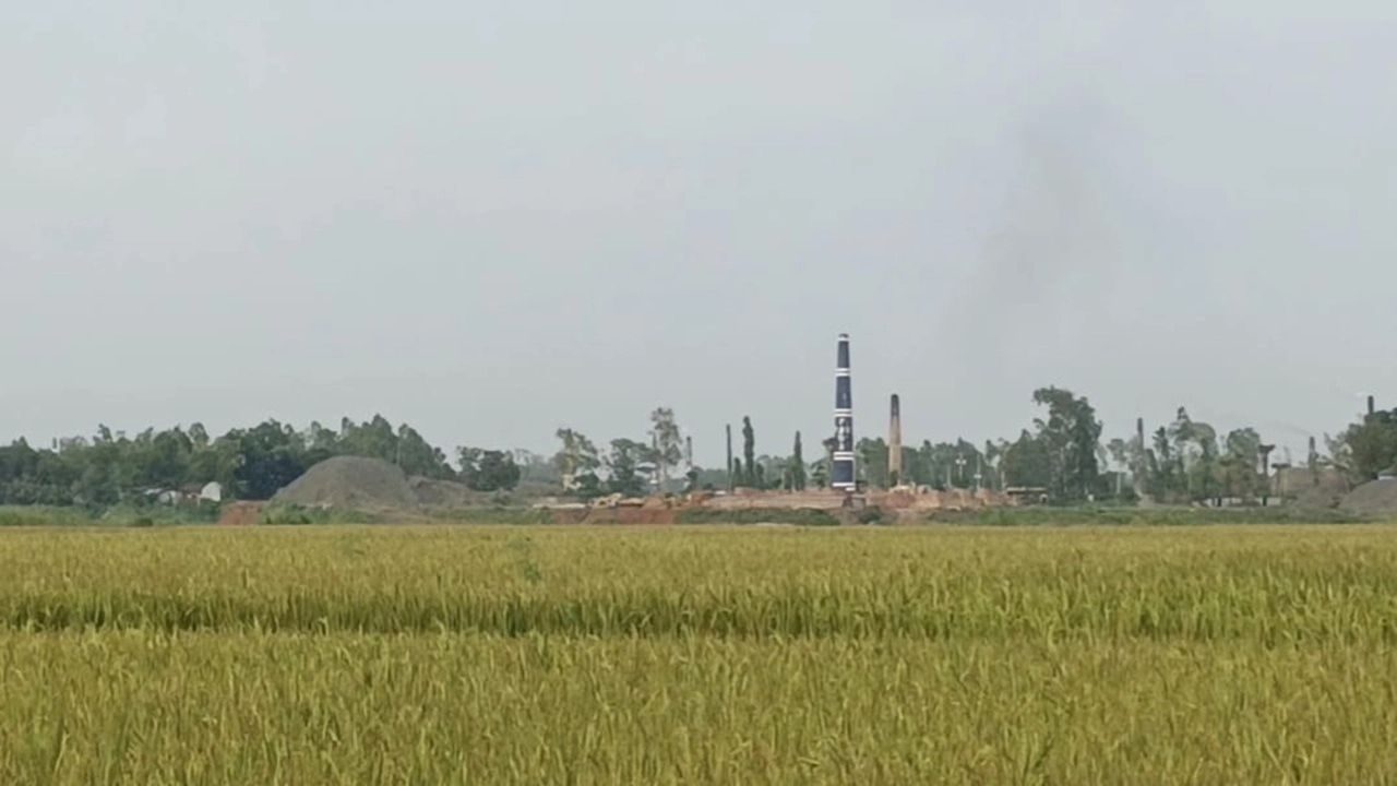 ছবি সংগৃহীত