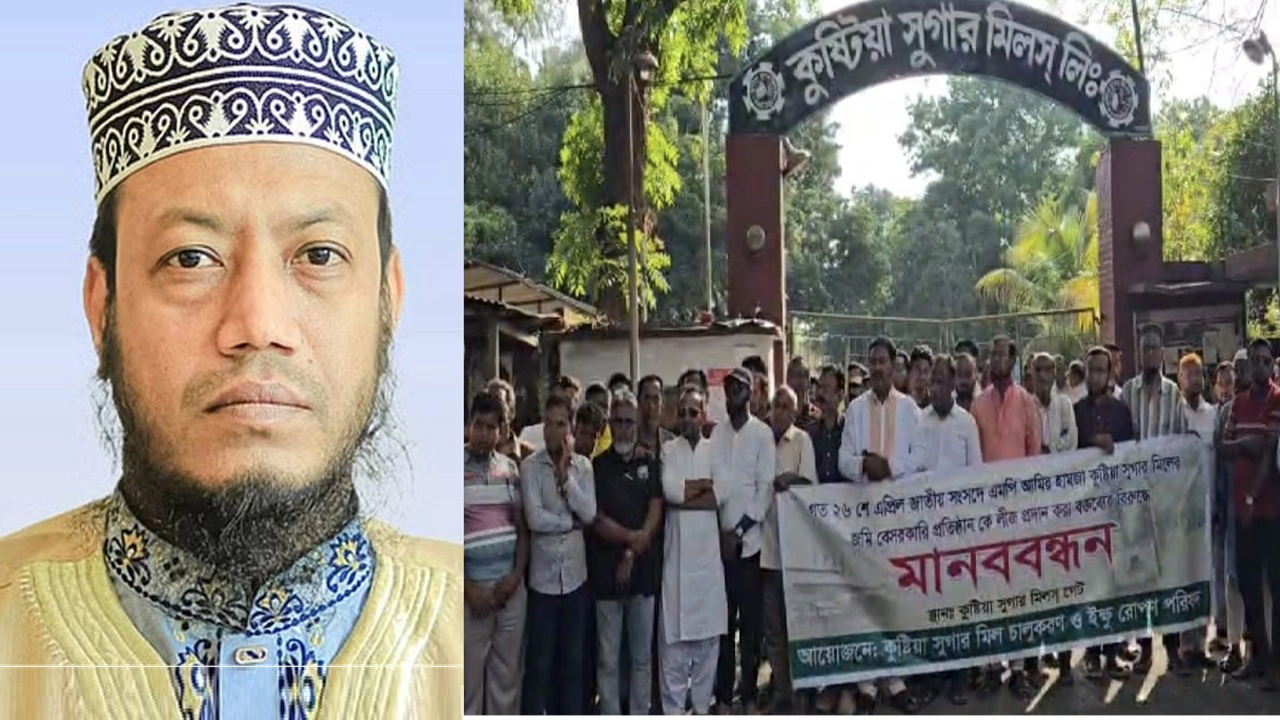 ছবি সংগৃহীত