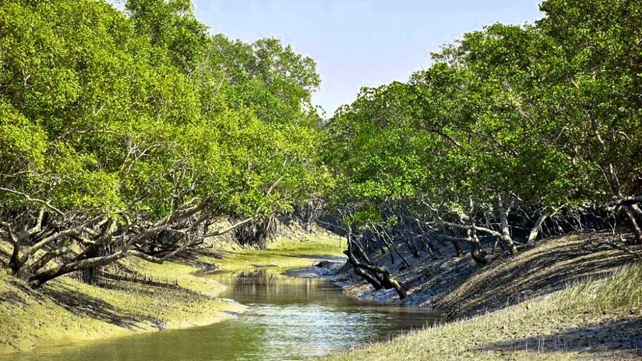 ছবি সংগৃহীত