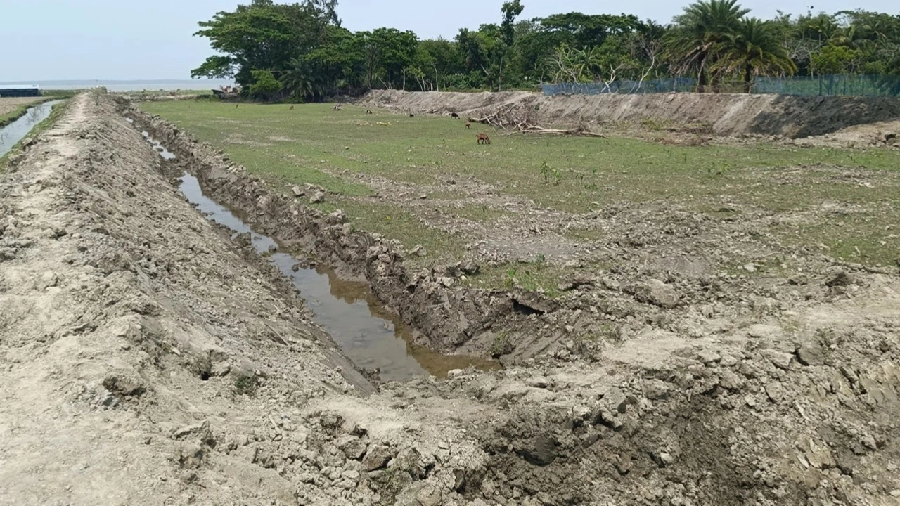 পাউবোর জমি দখল