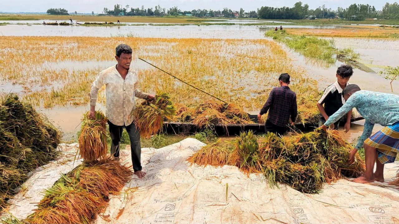 ছবি: এনপিবি নিউজ