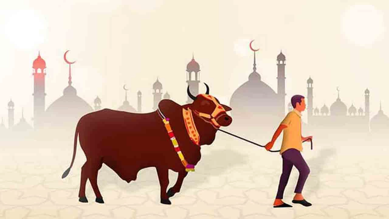 সংগৃহীত