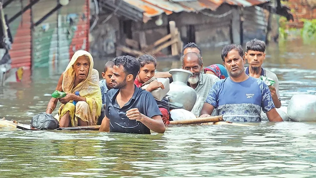 ফাইল ছবি
