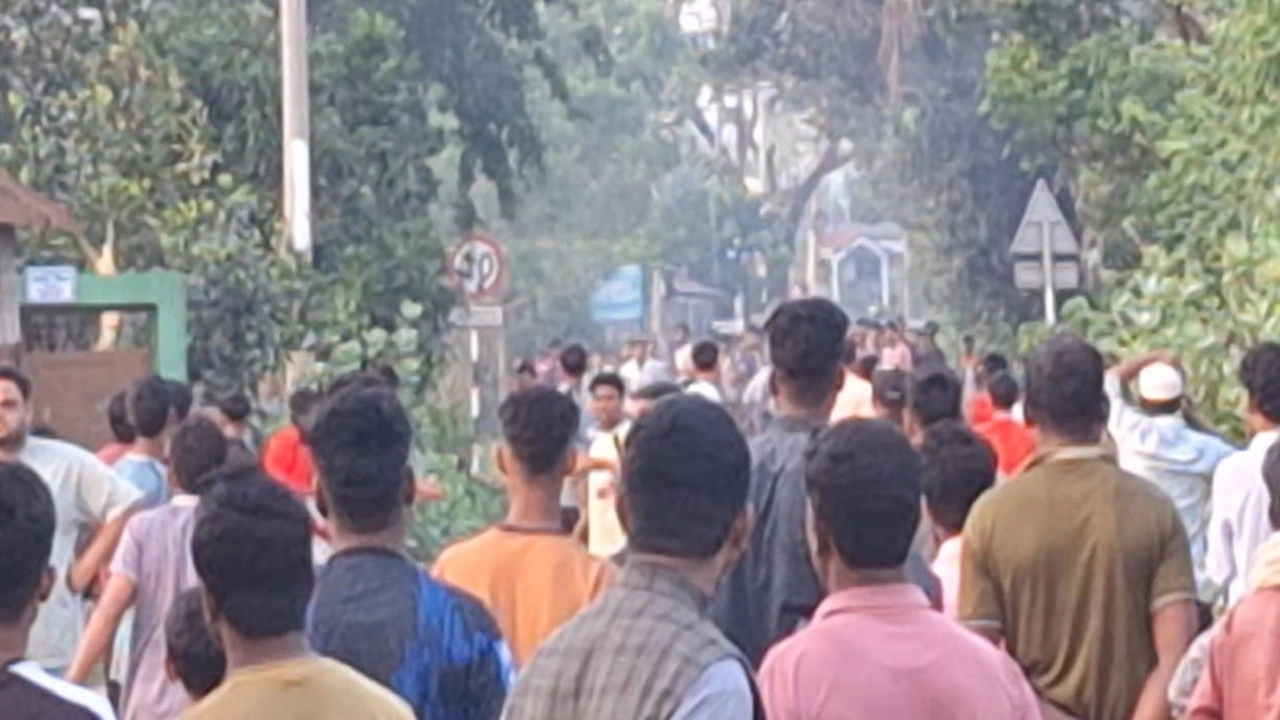 ছবি সংগৃহীত